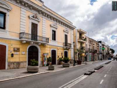 Poco pi� avanti attira la nostra attenzione l�ottocentesco Palazzo Conte Sabini, sede del Municipio fino al 1927 e ora gestito da diversi enti tra cui la ProLoco